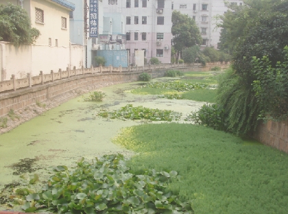 上海的水污染~ 老干部闲聊 篱笆网