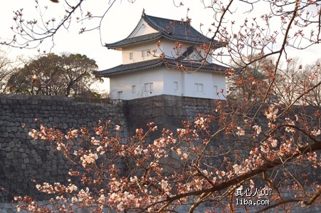 开贴祝贺,日本赏樱深度游归来 旅游天地 篱笆网