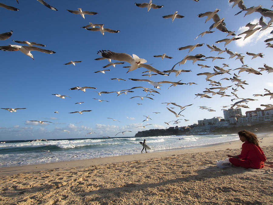 3333,澳洲邦迪海滩上,一个红衣女子在一片宁静气氛中喂海鸥.